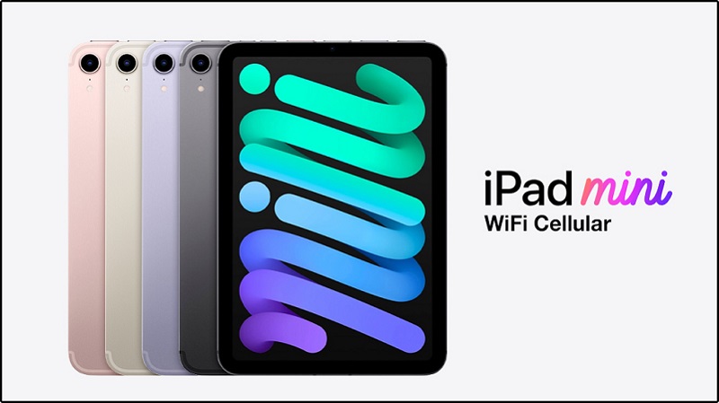 Máy hỗ trợ kết nối 5G